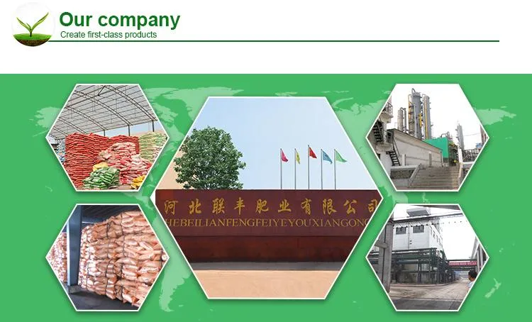 NPK Fertilizer From China Manufacturer 14-23-14 Compound Fertilizer for Fruits Vegetables